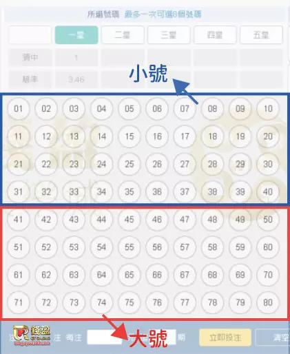 KU娛樂城:賓果賓果遊戲數字大號、小號說明